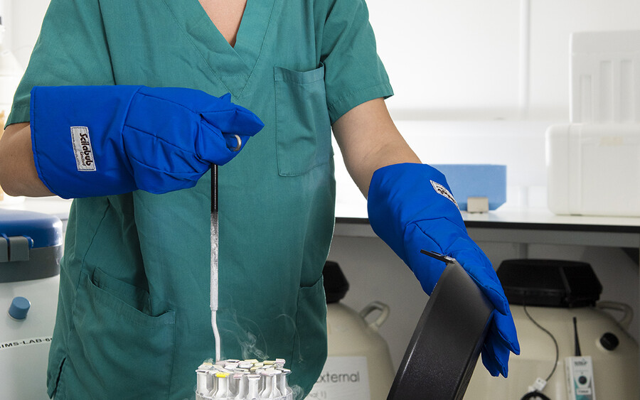 A scientist freezing eggs
