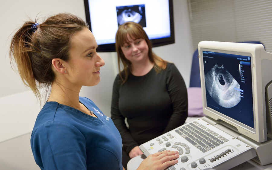 Nurse and ultrasound with patient