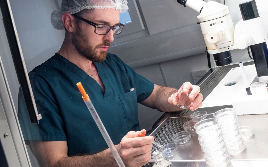Cormac in the lab