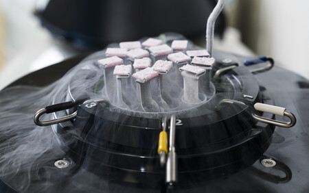 Egg Freezing - Fertility Preservation - Egg Freezing in South Texas