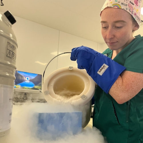 Lab cryo