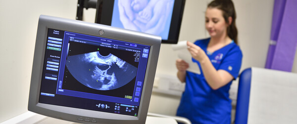 nurse taking notes during ultrasound scan