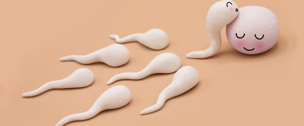 Sperm and eggs.jpg