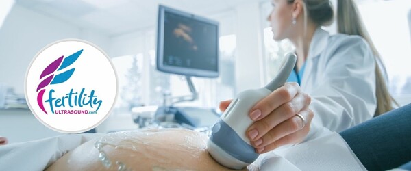 Fertility ultrasound.com