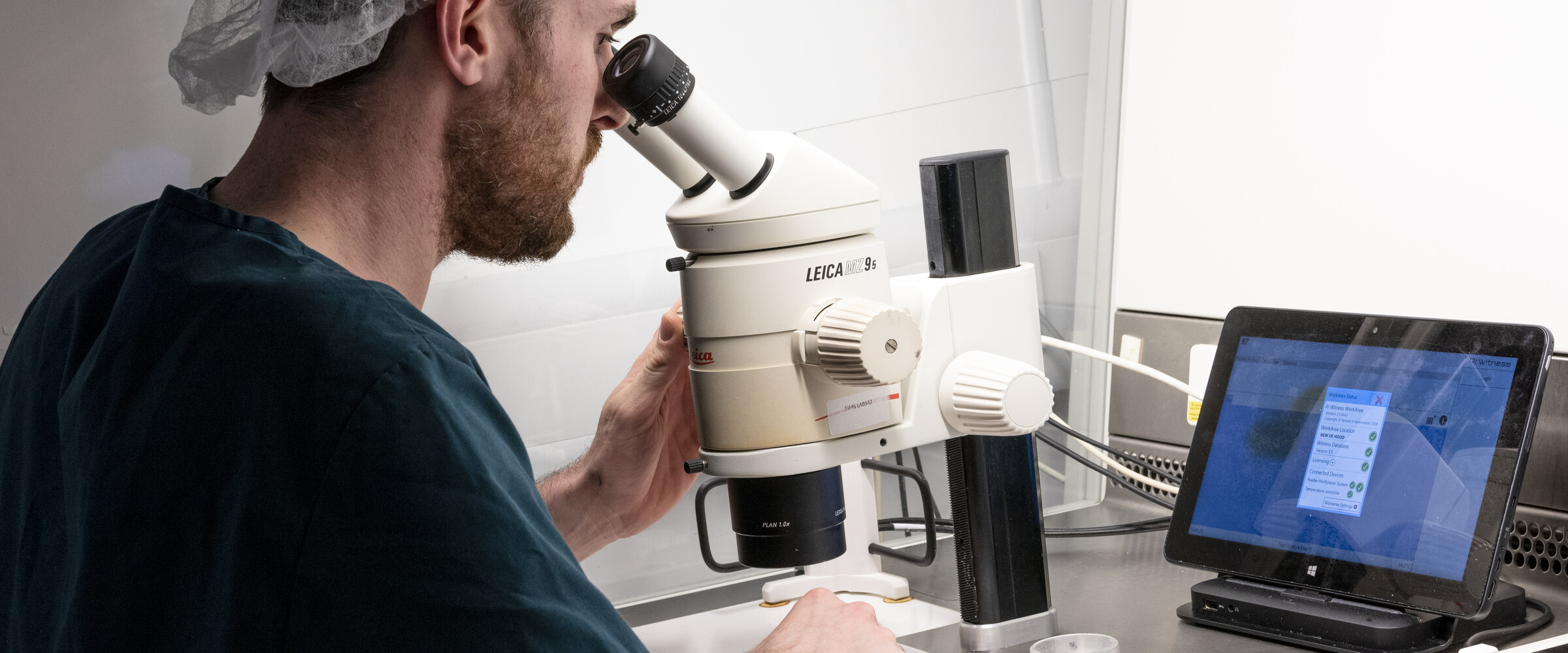 Embryologist looking through a microscope.