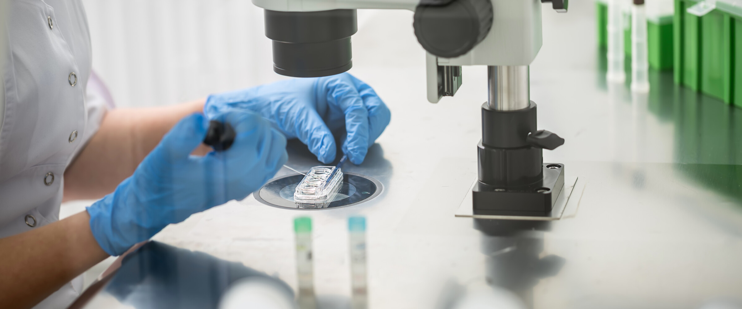 embryologist at microscope