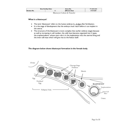 Blastocyst information